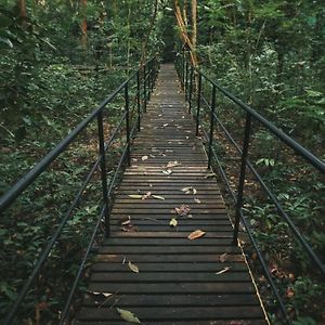 Khao Sok Tree House Resort